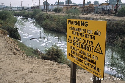 The Polluted New River