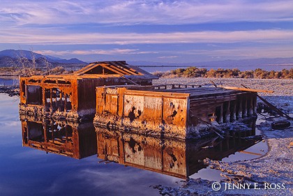 Flooded Ruins at Salton Sea Beach