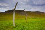 Ancient Whalebones in Ritual Formation