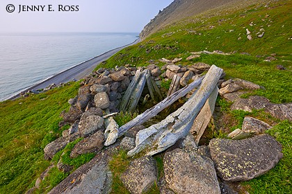 Food Cache & Whale Bones at Ancient Village Site