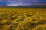 Autumn storm, tundra, freeze-thaw features