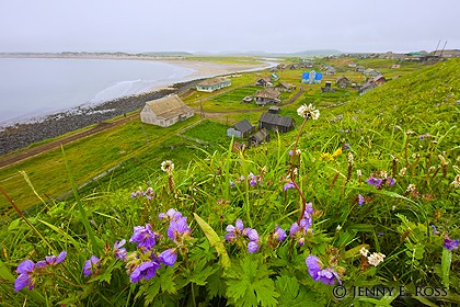 Nikolskoye, Bering Island