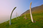 Ancient whalebone ritual site, Cape Dezhnev