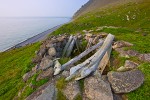 Food cache at ancient village site, Cape Dezhnev