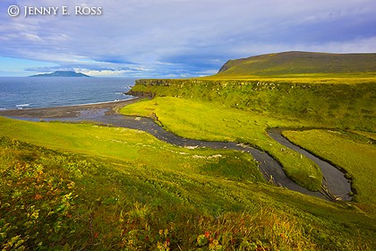 Tundra and estuary, Onekotan Island