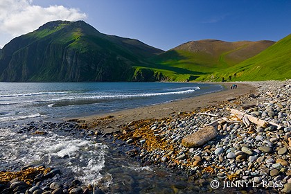 Peschanaya Bay, Medny Island