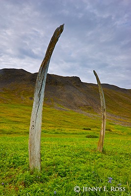 Whalebone Alley, Yttygran Island