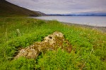 Whalebone Alley, Yttygran Island