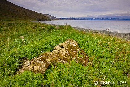 Whalebone Alley, Yttygran Island