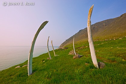 Ancient whalebone ritual site, Cape Dezhnev
