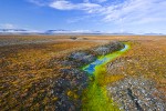 Arctic tundra and melting permafrost