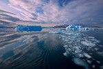 Melting icebergs and bergy bits near Kangilerngata Sermia