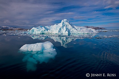 Melting icebergs and bergy bits near Kangilerngata Sermia