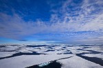 Fractured Summer Sea Ice, Arctic Ocean