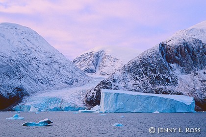 Tidewater glacier and iceberg, Ofjord