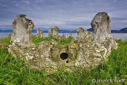 "Whale Bone Alley" on  Yttygran Island, Bering Sea