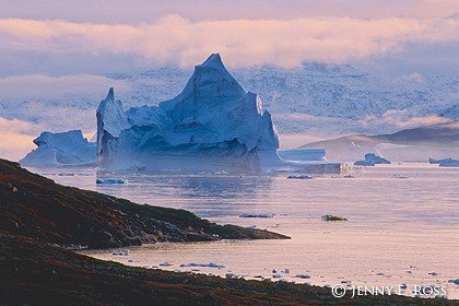 Icebergs and autumn tundra at sunset, Hurry Inlet