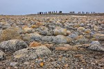 Ecotourists hiking in polar desert, Phippsøya