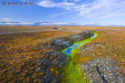 Arctic frost-wedging features & thawing permafrost