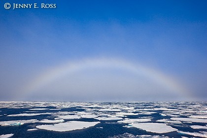 Fogbow and fractured summer sea ice, Arctic Ocean