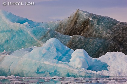 Icebergs near Kangilerngata Sermia, West Greenland
