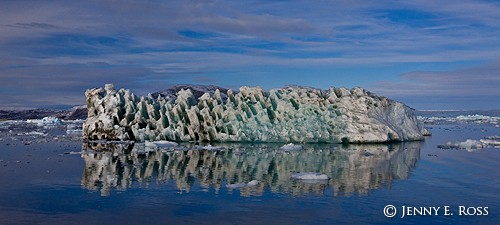 Melting iceberg near Kangilerngata Sermia glacier