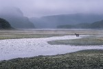 Katmai Solitude