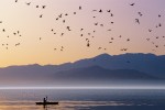 Kayaker at Sunset, Salton Sea