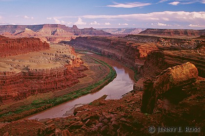 Gooseneck of the Colorado, Canyonlands