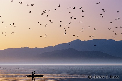 Kayaker at Sunset, Salton Sea