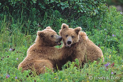 Playful Siblings