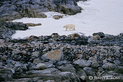 The End of the Ice