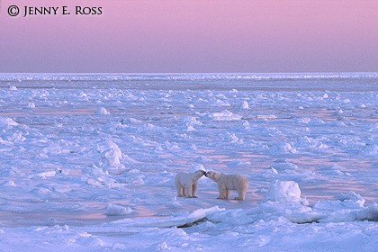 Together at Sunset