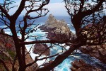 Pinnacle Cove, Point Lobos