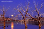 The Salton Sea