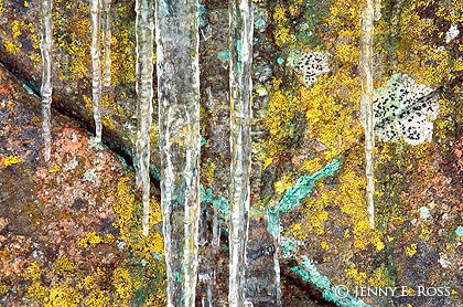 Icicles, Lichen, and Granite