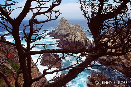 Pinnacle Cove, Point Lobos